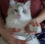 PawTrim™ 2-in-1 hoitotyökalu
