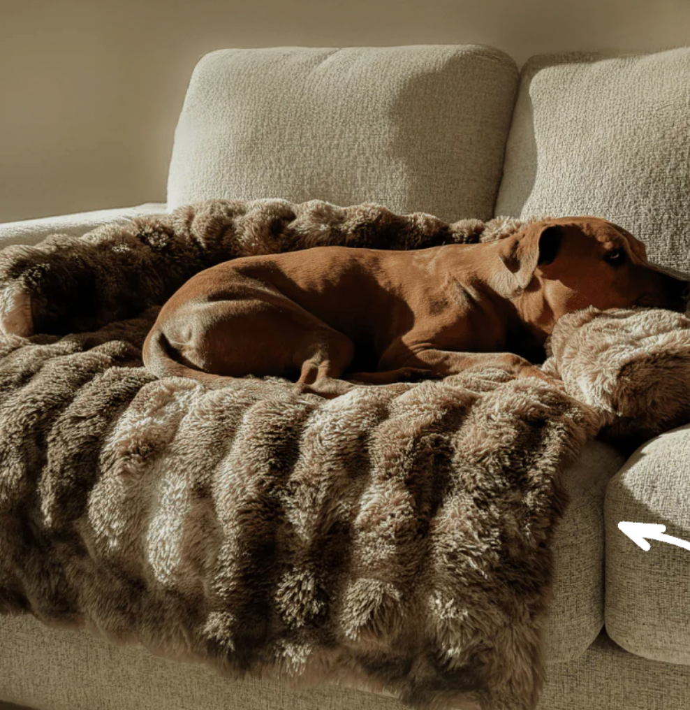 SnugPaw™ – Mukava koiranpeti