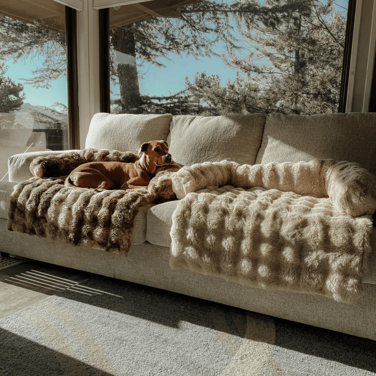 SnugPaw™ – Mukava koiranpeti