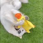 HappyDuck™ – Stressiä lievittävä pehmolelu