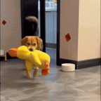 HappyDuck™ – Stressiä lievittävä pehmolelu