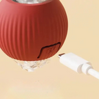 PetZing™ - Smart djurleksak - NordKlover